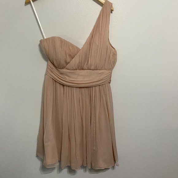 Coren Moore Hannah Chiffon Dress Blush Pink Size 10 NWT - Picture 3 of 7
